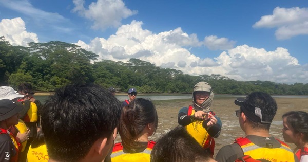 Cheng Puay sharing about the flora and fauna found in mangroves