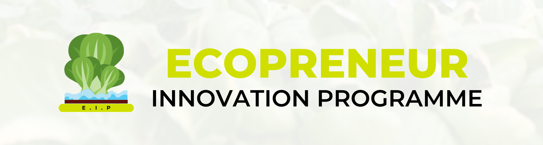 SSC EN - Ecopreneur Innovation Programme Banner