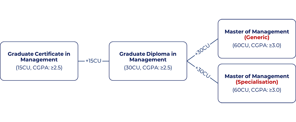 MMGT programme structure Summary of the programme structure of our management programme