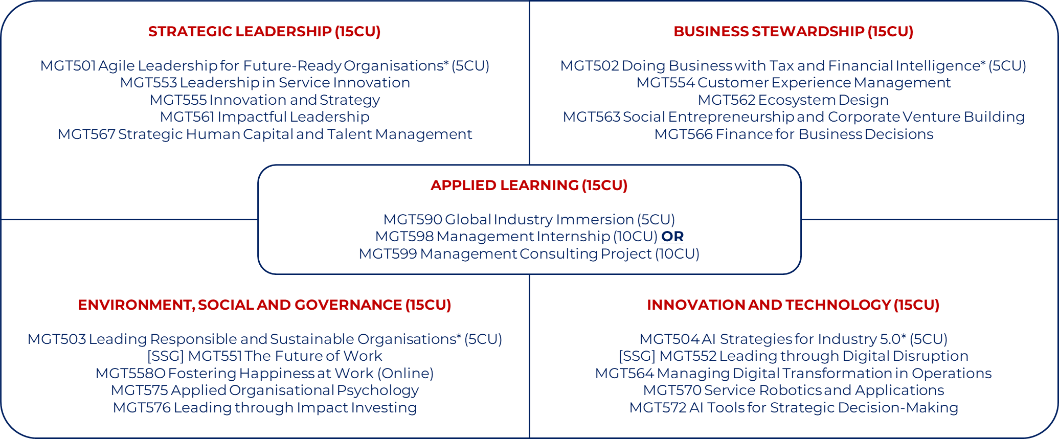 MMGT Themes Four management themes of the MMGT programme