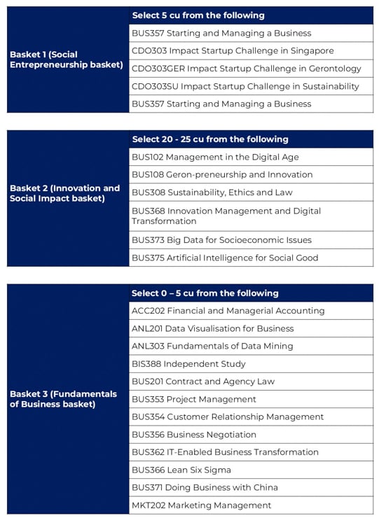 SBIZ_BUS Minor in Social Entrepreneurship and Innovation